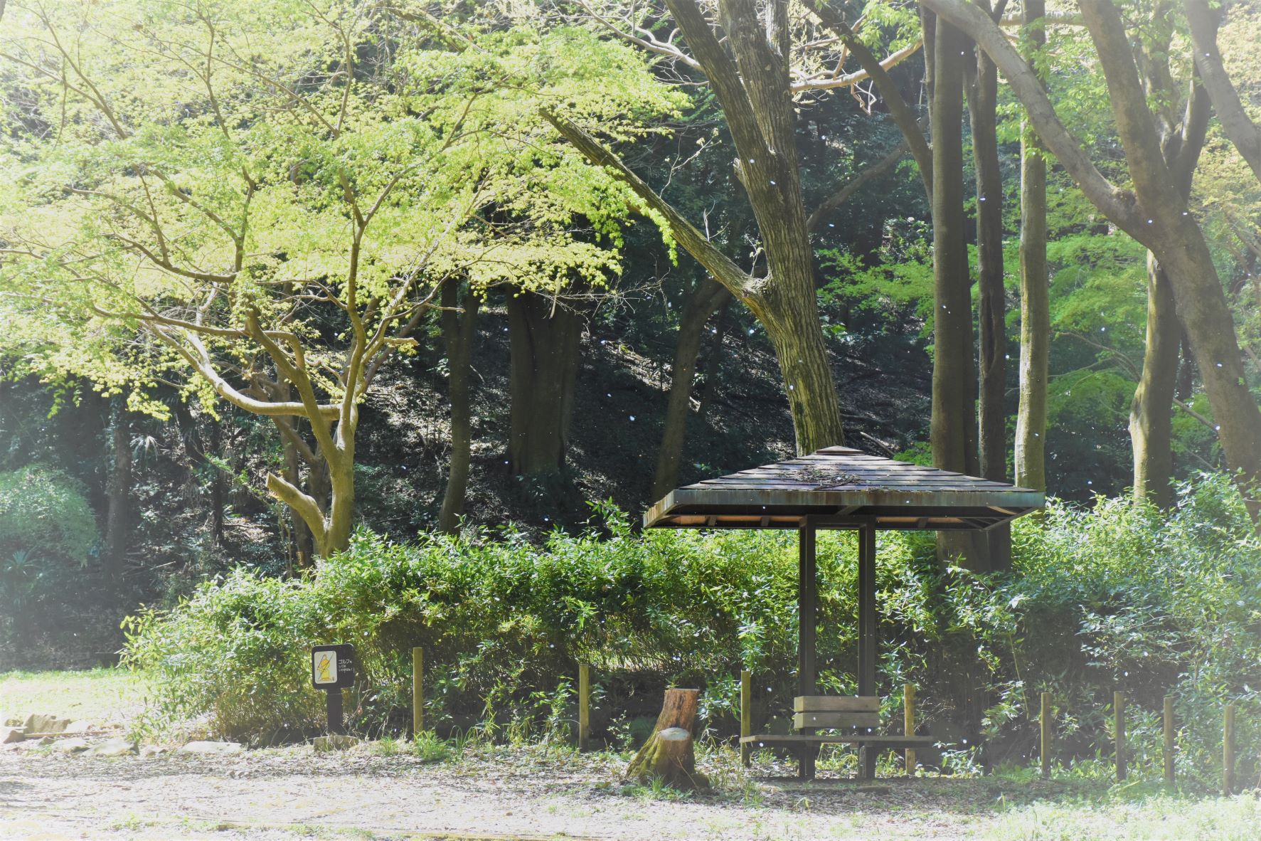 県立四季の森公園 アクセス・園内設備・周辺環境などの詳細情報｜Park Info