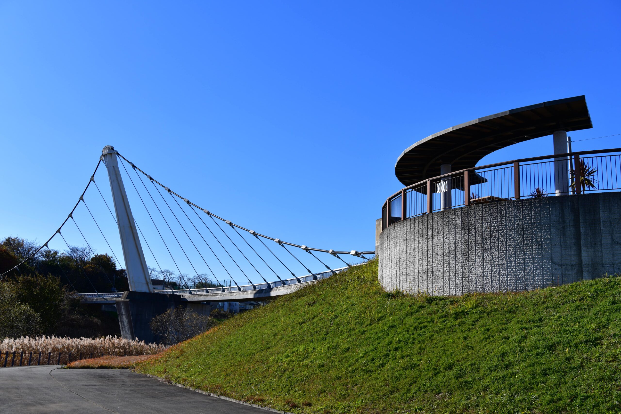 神奈川県立境川遊水地公園 アクセス・園内設備・周辺環境などの詳細