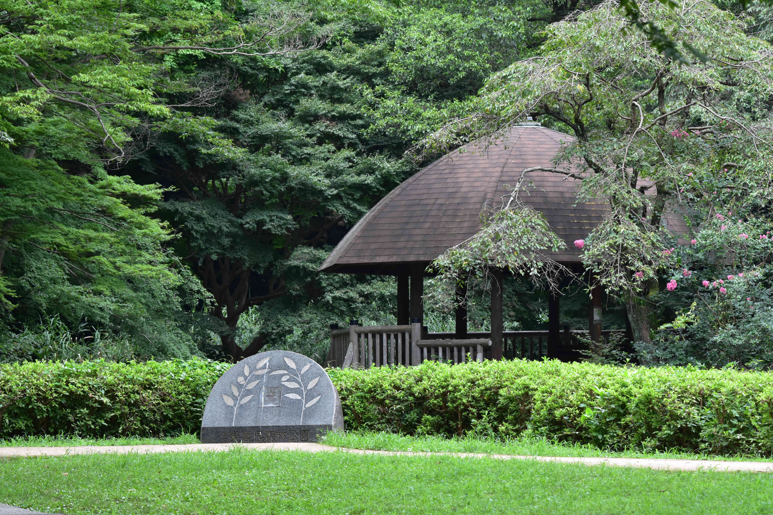 森林病理学 森林保全から公園管理まで 中古本・書籍 | ブック
